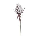 pitaya-decorativa-90cm-in-3-colori-assortiti