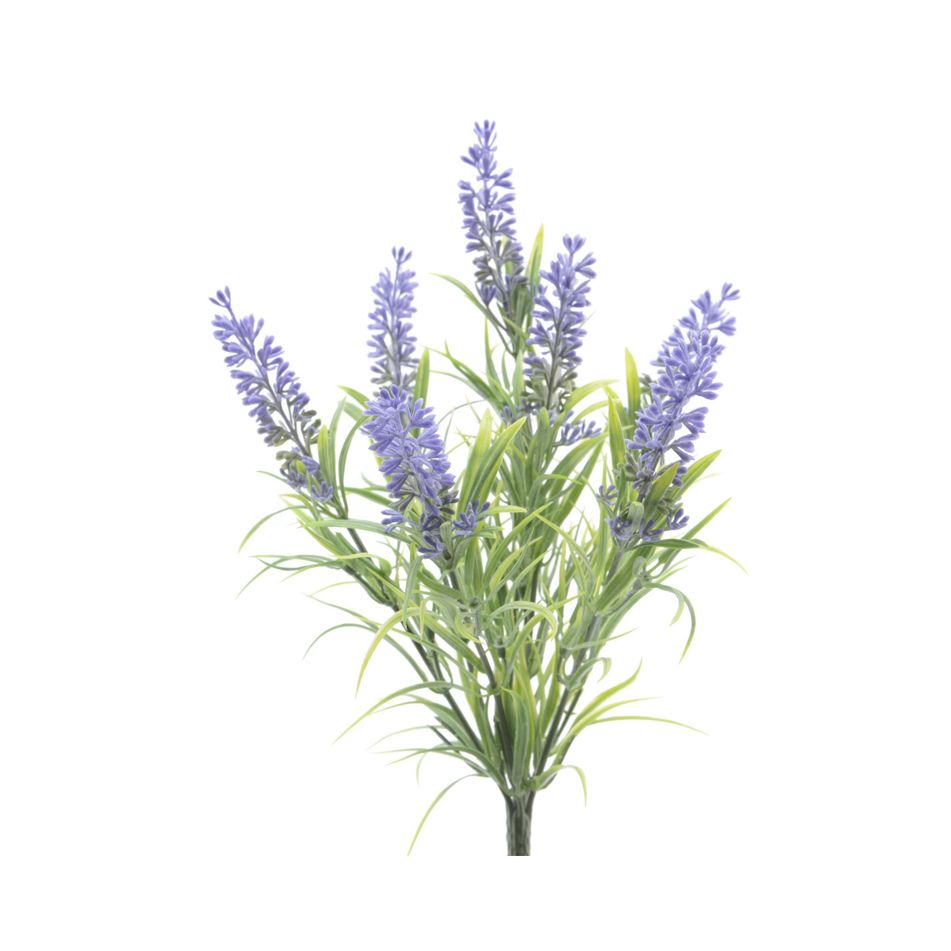 mazzo-di-lavanda-h37cm