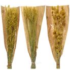 mazzetto-fiori-secchi-giallo-25x10x50cm