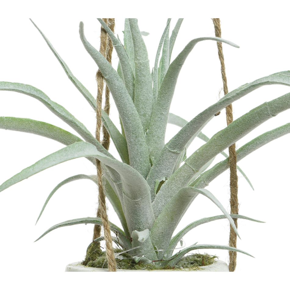 vaso-pensile-bianco-d-dot-20xh20cm-con-pianta