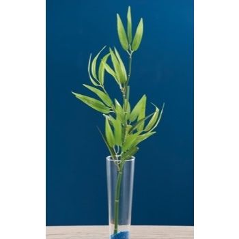 RAMOSCELLO BAMBOO X DECORAZ CM100