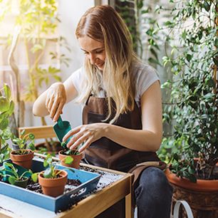 Offerte per curare il giardino