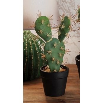 VASO C/CACTUS X DEC ASS2MOD D13XH25