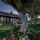 catena-led-solare-8-funzioni-11m-bianco-freddo