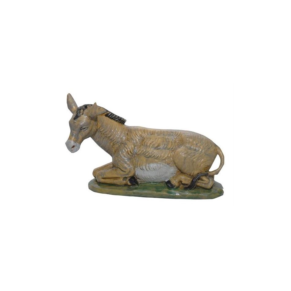 asino-20cm-nl