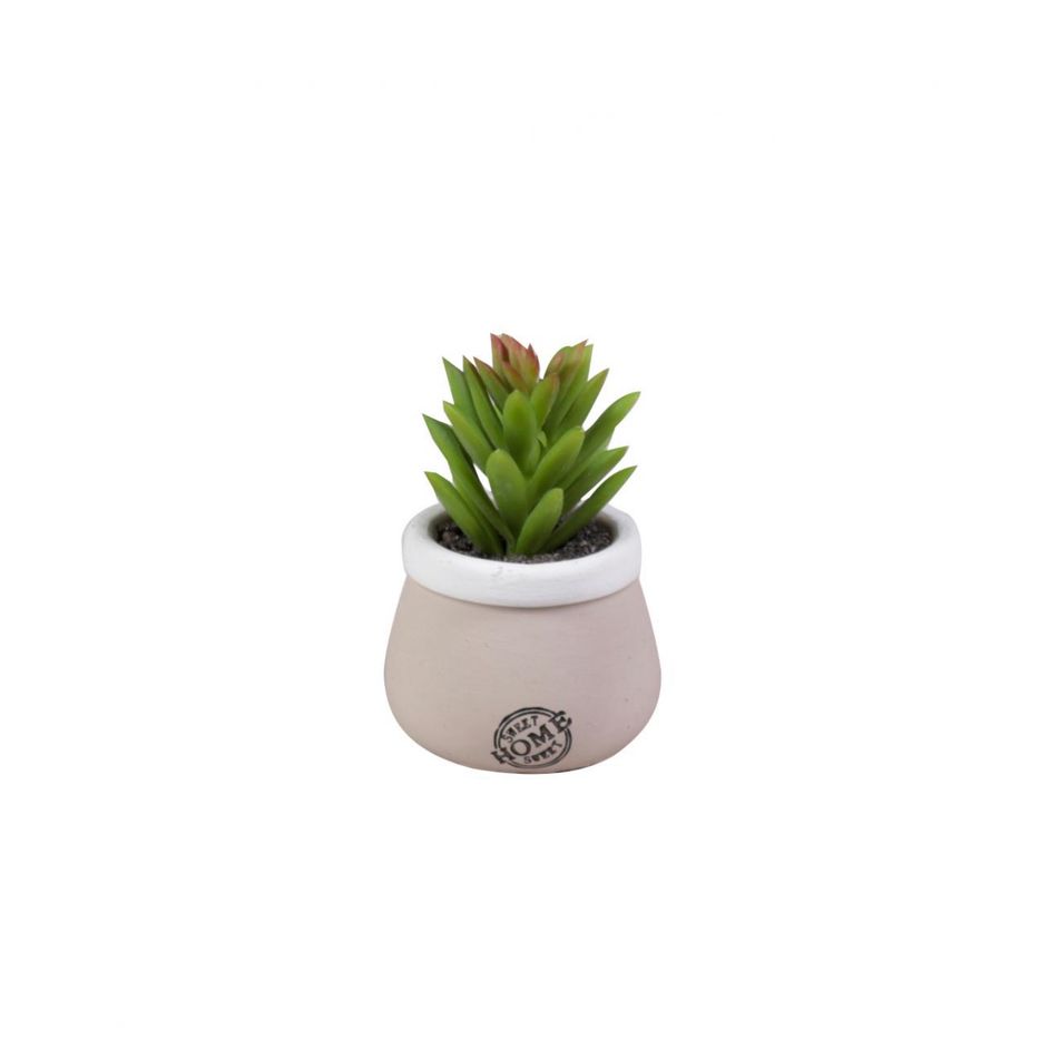 vaso-con-pianta-grassa-d-dot-5xh10cm-in-ceramica-torto