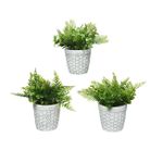 vaso-grigio-a-nido-dape-con-pianta-d-dot-11xh23cm-in