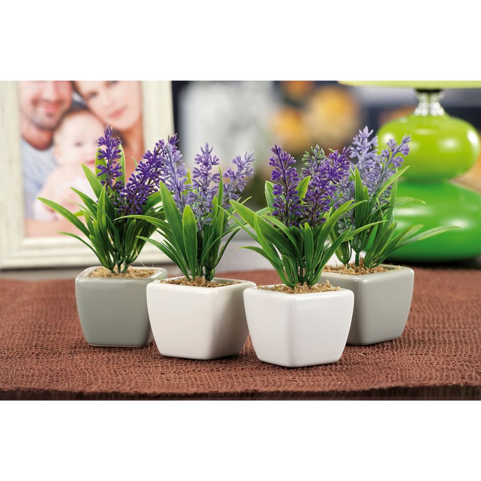 vaso-lavanda-a2m2c-5x5xh135