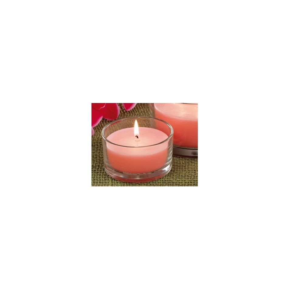 cand-prof-wenes-vetro-a6fr-d85xh5