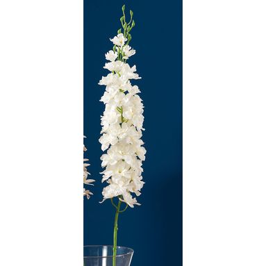 DELPHINIUM BIANCO DECORAZIONE CM116