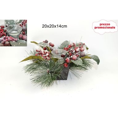 PORTATEALIGHT INNEVATO C/BACCHE.