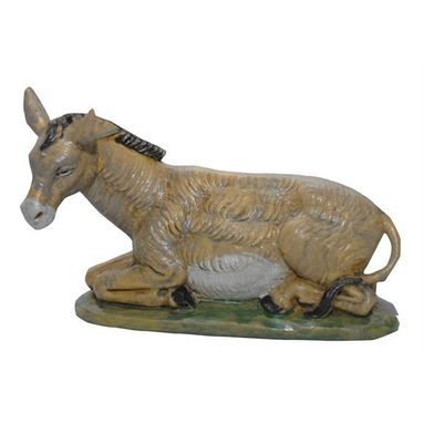 ASINO 20CM NL.