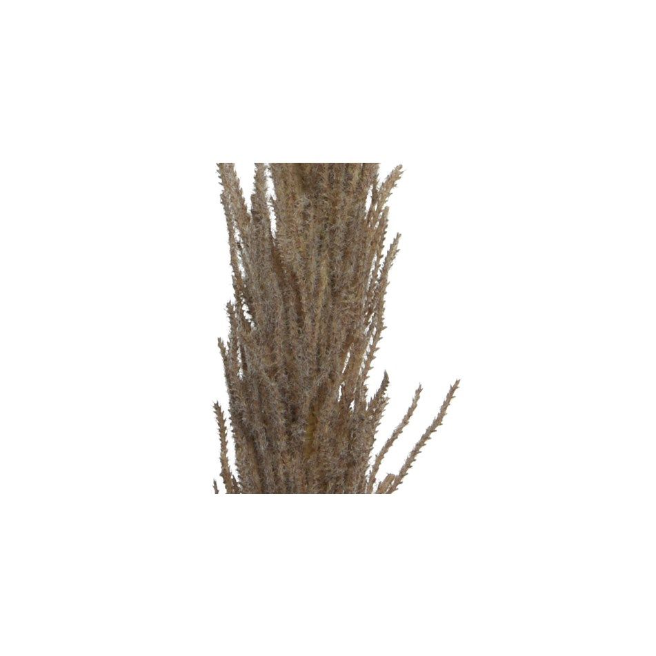 pampas-decorativa-marrone-h100cm