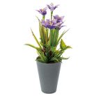 vaso-con-narciso-d-dot-9xh26cm-in-4-colori
