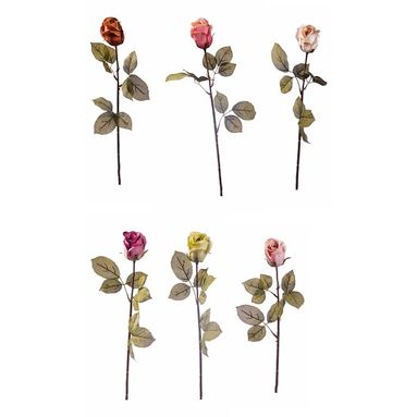 ROSA 69CM IN 6 COLORI