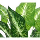 calatea-decorativa-h42cm-in-vaso-simil-naturale