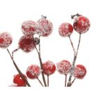 ramoscello-spoglio-15cm-bacche-innevate