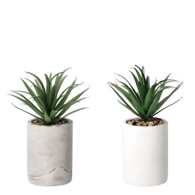 VASO CON PIANTA GRASSA DECORATIVA D.9XH22CM IN 2 C