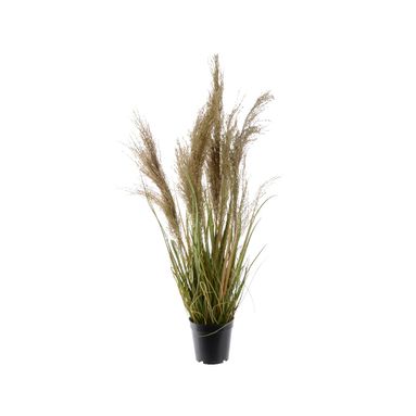 PIANTA CORTADERIA 40X40XH115CM VERDE IN PLASTICA.