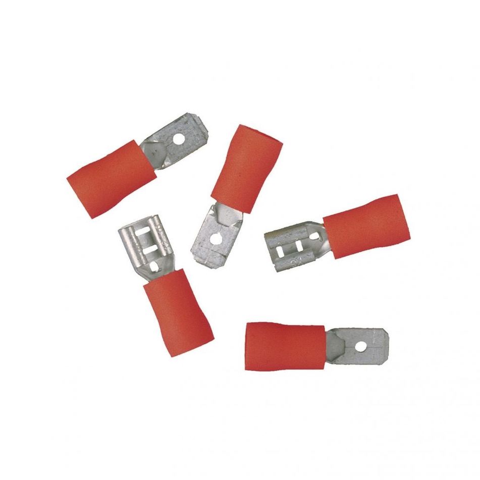 set-10-capicorda-maschio-plus-femmina-rossi