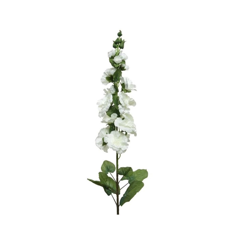 hollyhock-in-stelo