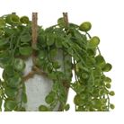 vaso-pensile-grigio-d-dot-10xh15cm-con-pianta