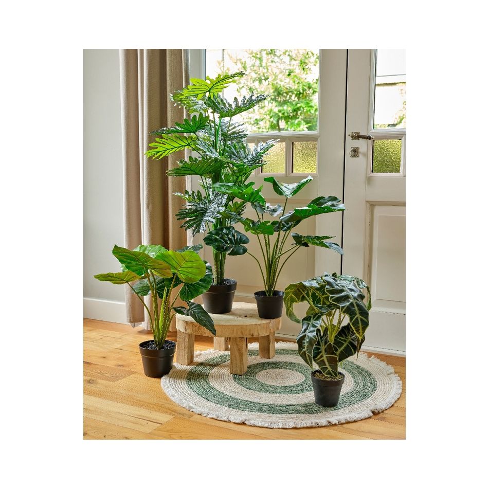 vaso-con-alocasia-69x69xh52cm-di-plastica