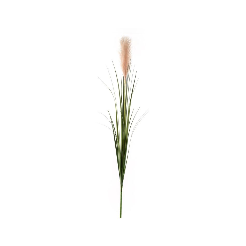 pampas-120cm-verde-e-rosa