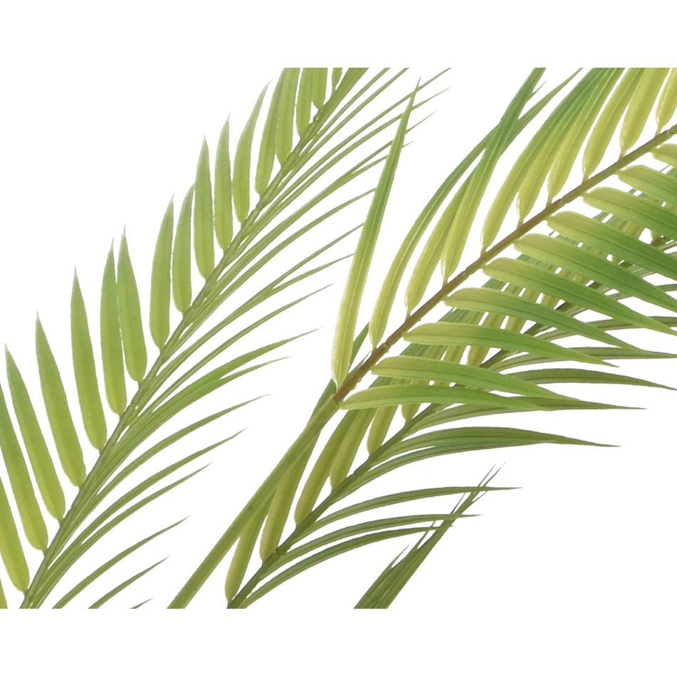 palma-in-vaso-d-dot-80xh120cm-verde-in-plastica