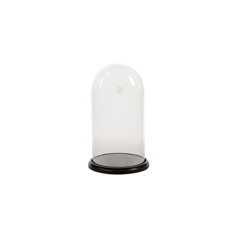 campana-di-vetro-con-fondo-nero-d-dot-25xh45cm