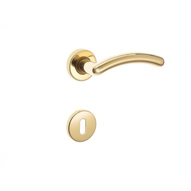 MANIGLIA NOVE PATENT OTTONE LUCIDO CON ROSETTE