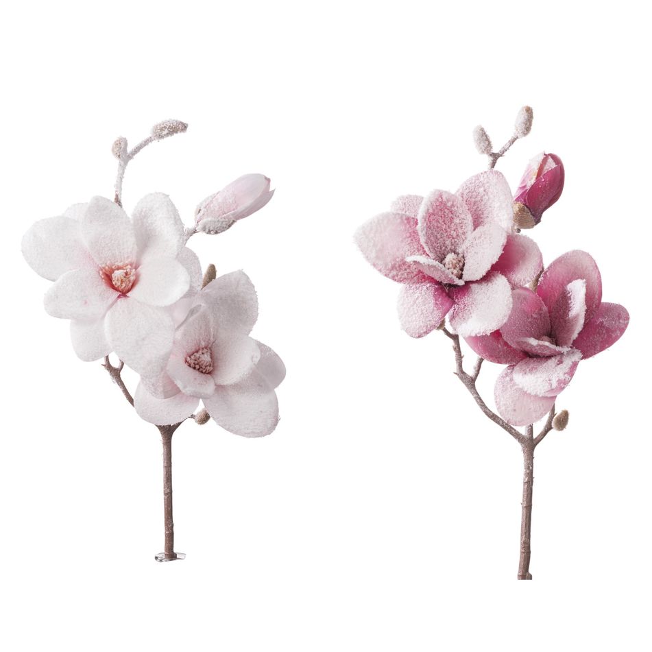 magnolia-innevata-cm50-rosa-slash-bianca
