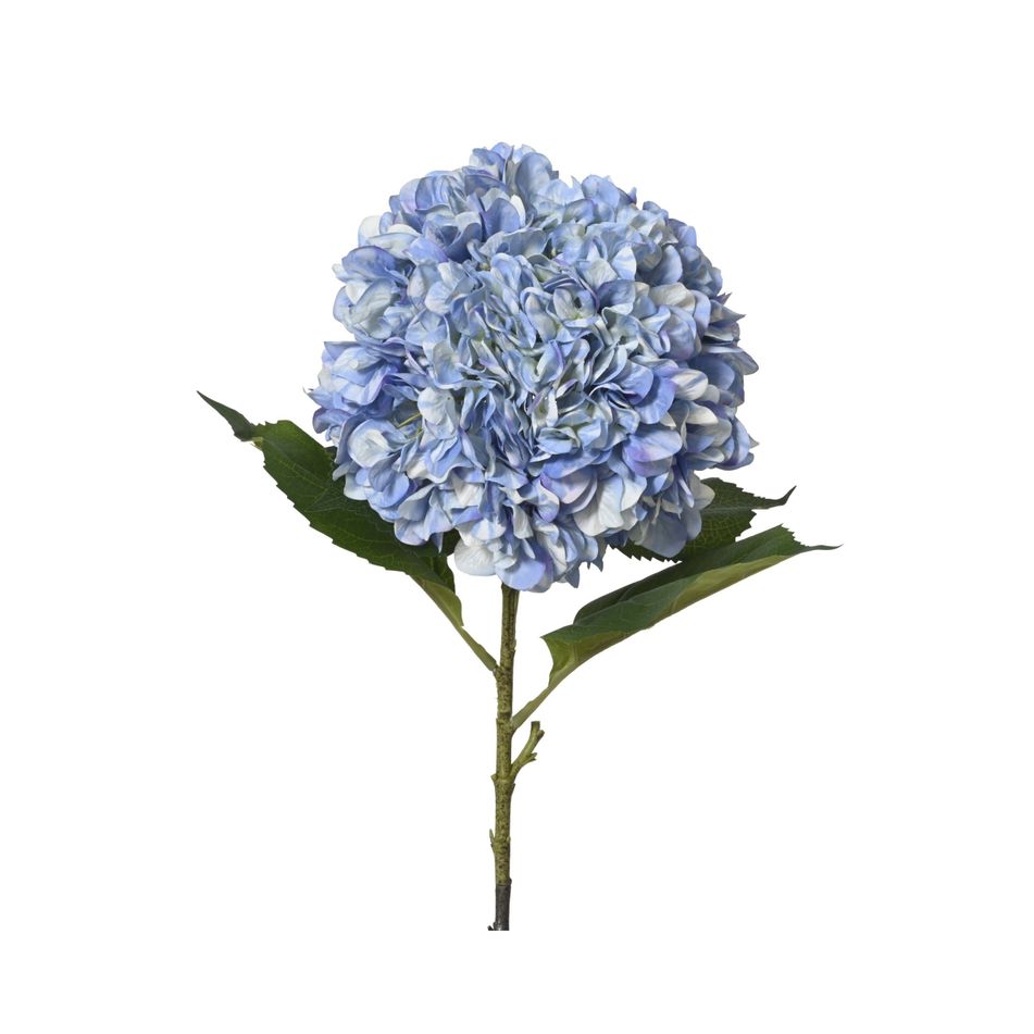 ortensia-d-dot-27xh106cm-azzurra