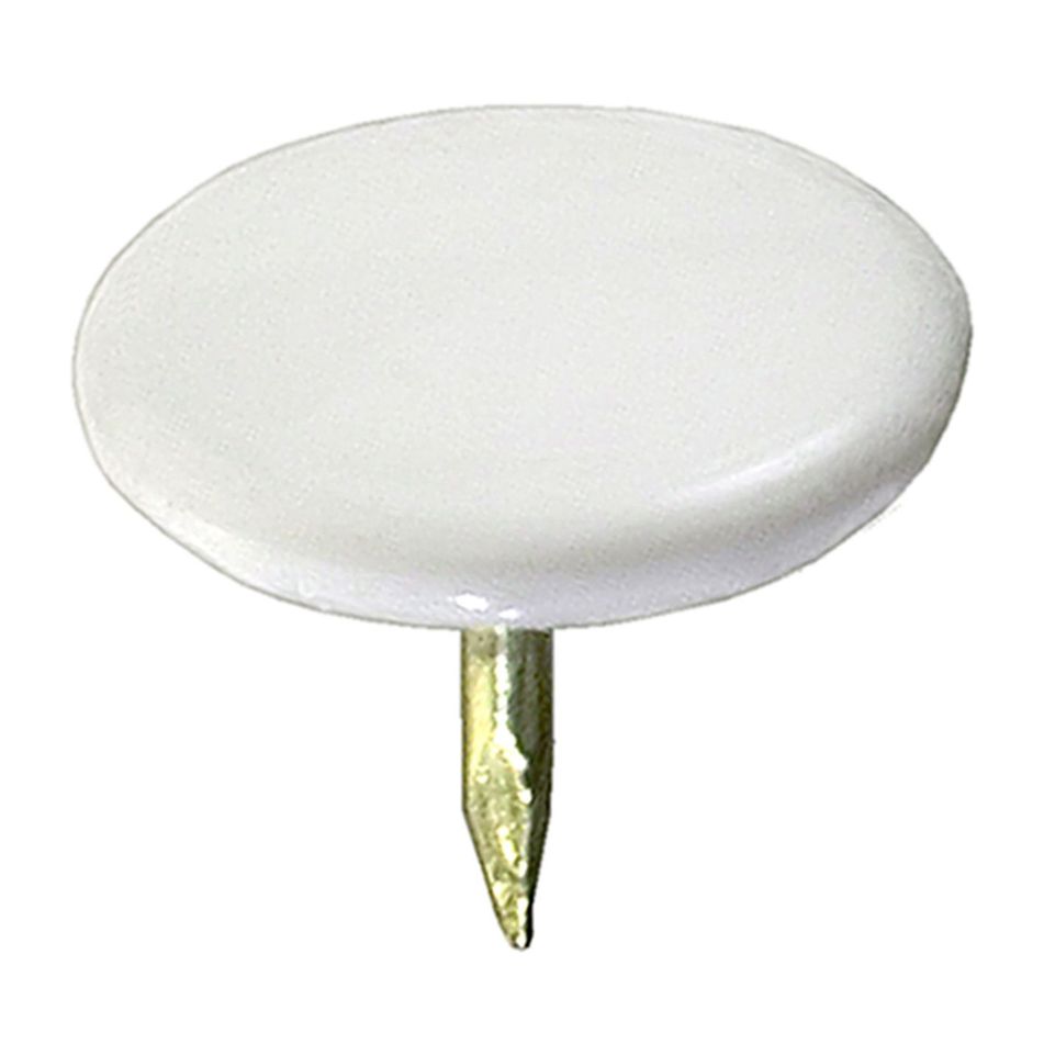 puntine-p-slash-disegno-assor-dot-pz-dot-100