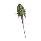 pitaya-decorativa-90cm-in-3-colori-assortiti