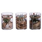 vaso-con-piante-d-dot-10xh13-dot-5cm-in-3-modelli-in-vetro