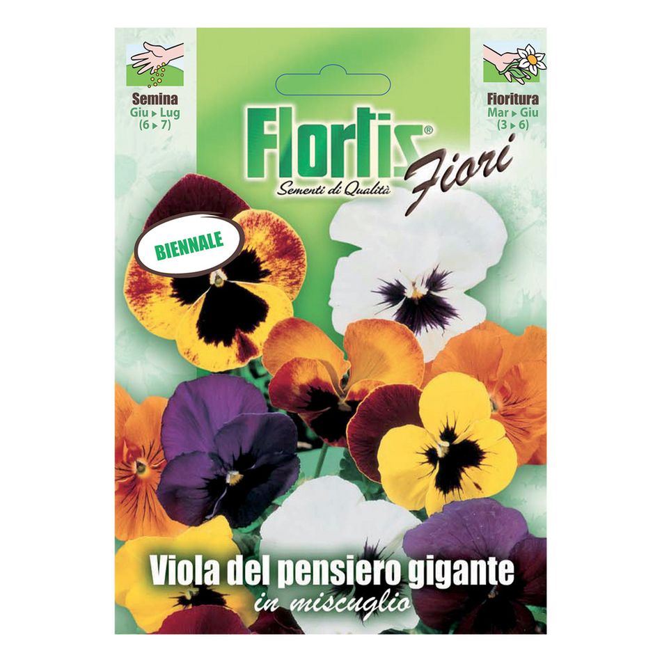 tuttogiardino-viola-pensiero-gigante-mix