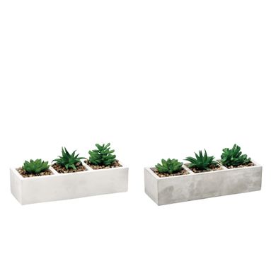 VASO CON PIANTA GRASSA DECORATIVA 26X10XH10CM IN 2