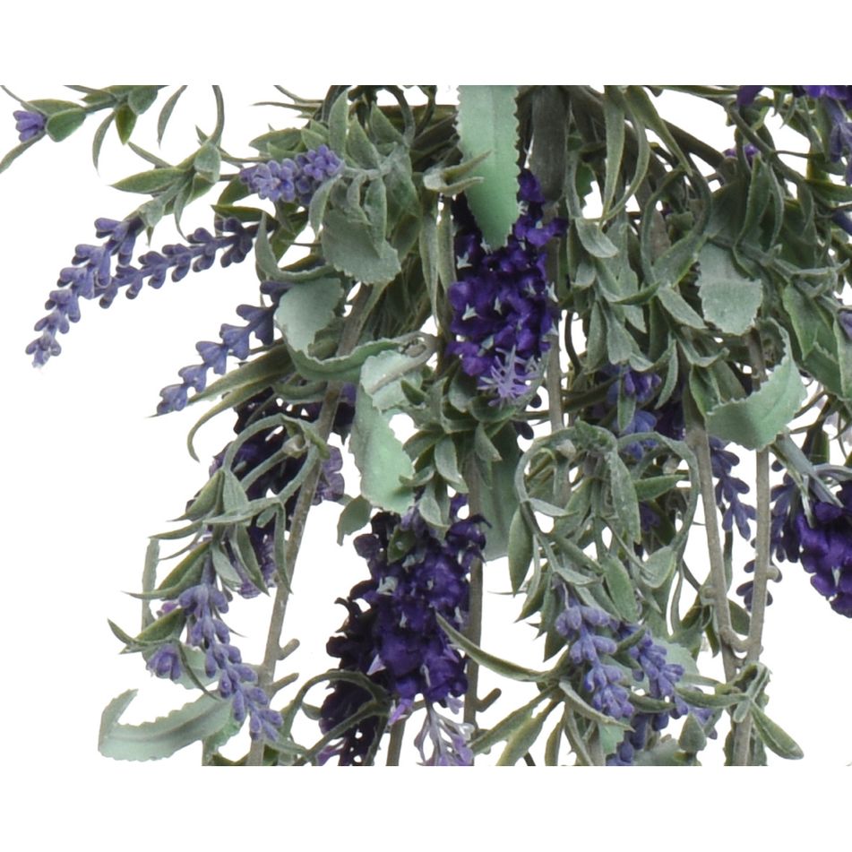 lavanda-in-poliestere-3-col-ass
