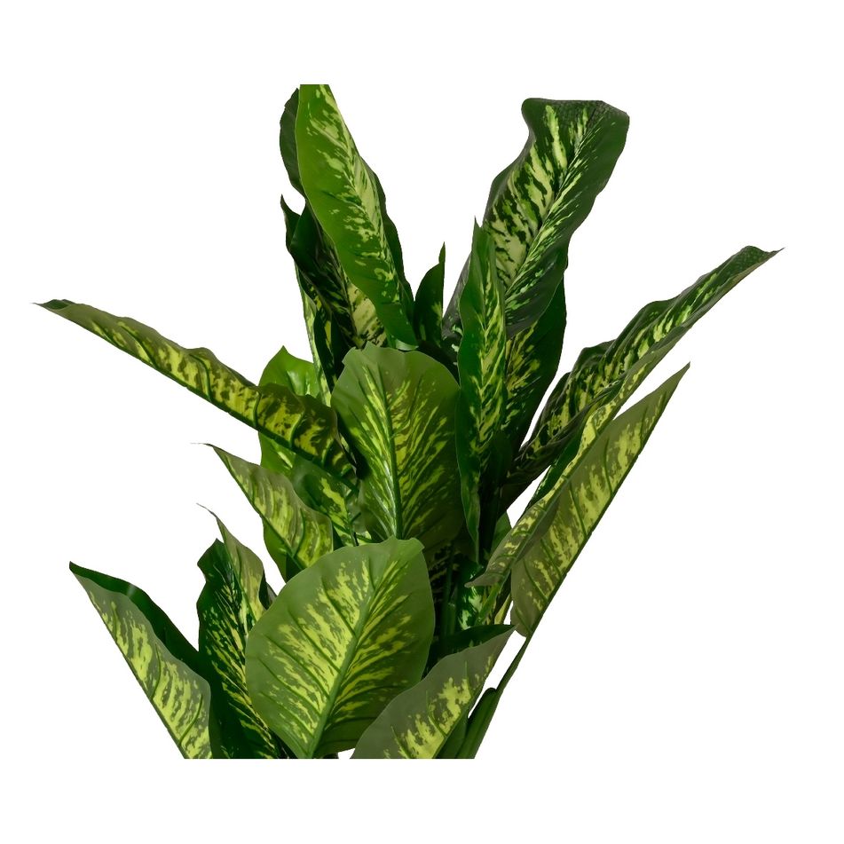 pianta-dieftenbachia-d-dot-70xh150cm-verde-in-pvc
