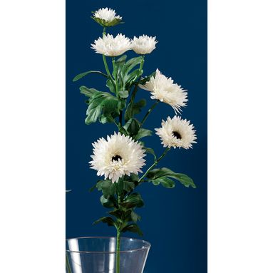 CRISANTEMO BIANCO 6FIORI X DEC CM86