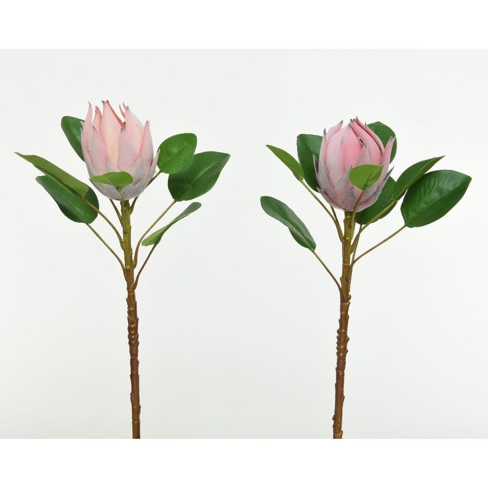 protea-rosa-25xh52cm
