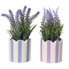 lavanda-d-dot-7xh18cm-con-vaso-in-porcellana-a-righe