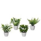 vaso-con-pianta-artificiale-8xh21cm-in-4-modelli