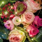 catena-20-micro-led-95cm-argento-slash-bianco-caldo