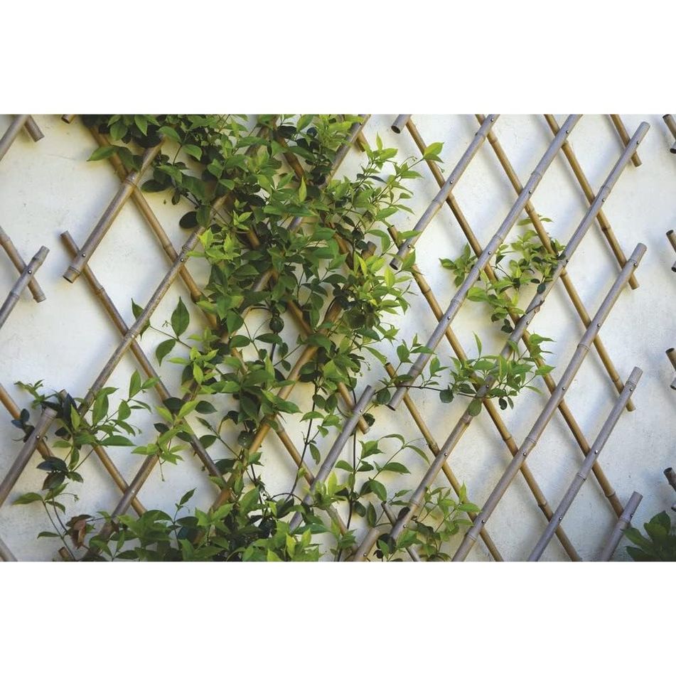 traliccio-estensibile-90x240cm-in-bamboo-naturale