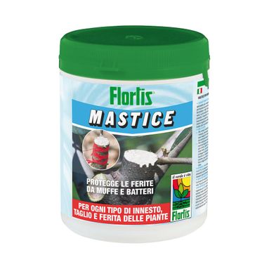 MASTICE IN PASTA PER FERITE E INNESTI 500GR