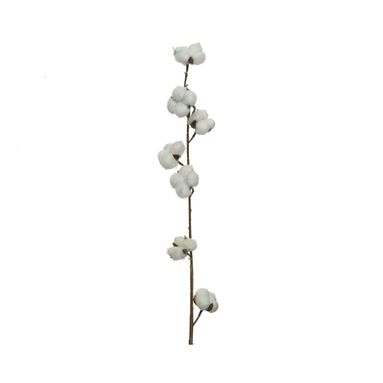RAMOSCELLO COTONE 100CM