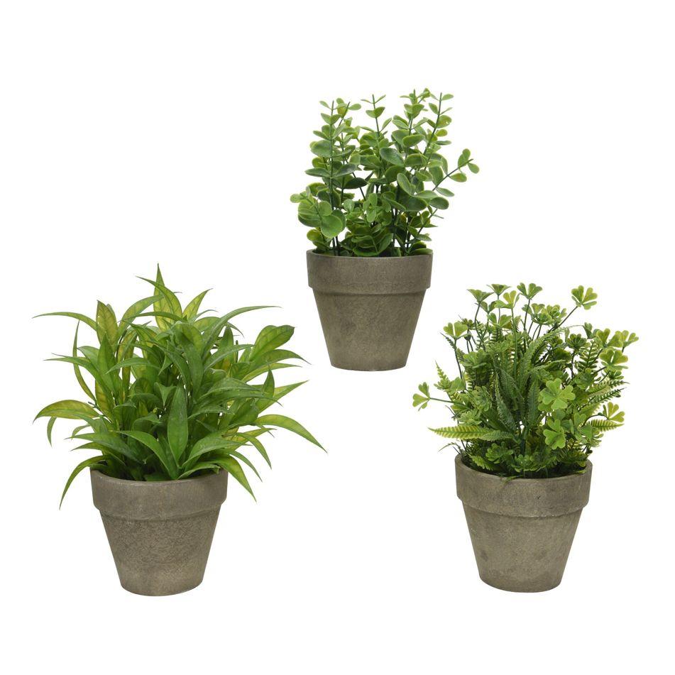 vaso-con-erbetta-d-dot-20xh25cm-in-3-modelli