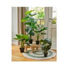 vaso-con-alocasia-69x69xh52cm-di-plastica
